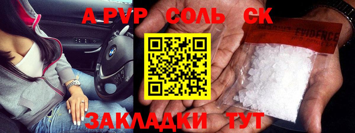 Альфа ПВП СК Гусев