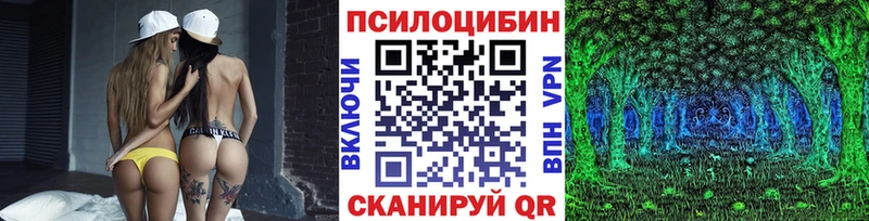 Галлюциногенные грибы мицелий  Гусев 