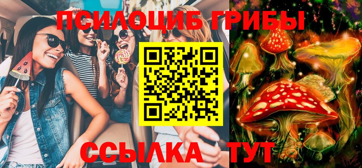 Псилоцибиновые грибы прущие грибы Гусев