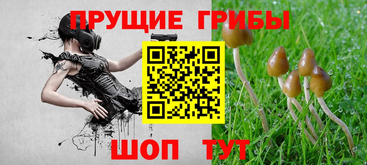 Гусев  наркота  Вход с VPN  Псилоцибиновые грибы Magic Shrooms 