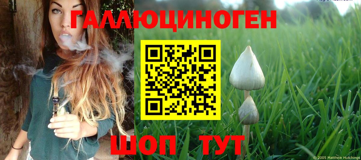 Гусев  Псилоцибиновые грибы мицелий  Вход с VPN  Псилоцибиновые грибы Magic Shrooms 