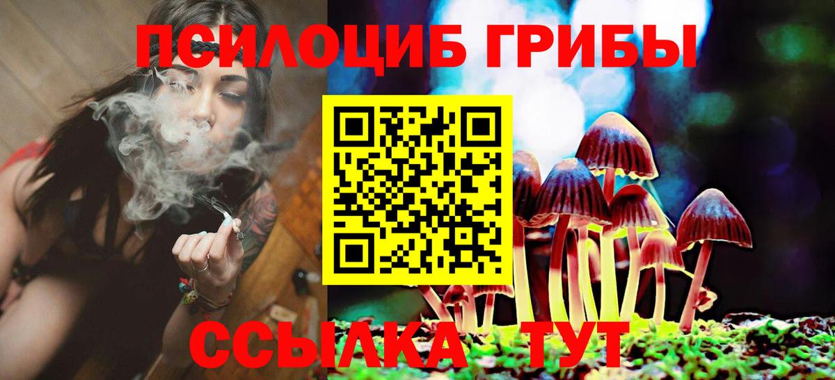 Псилоцибиновые грибы мухоморы Гусев