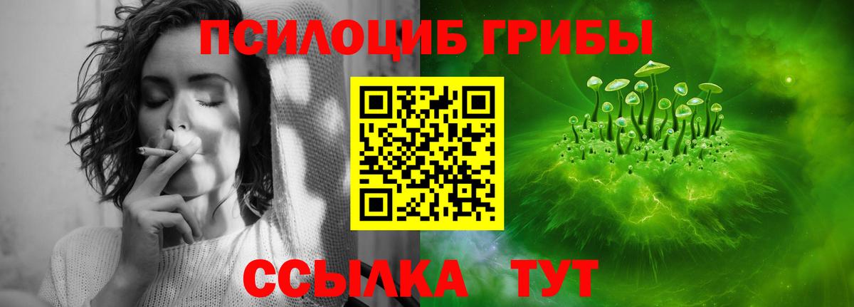 Псилоцибиновые грибы Cubensis Гусев