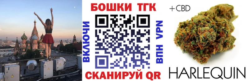Шишки марихуана индика Гусев